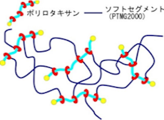 サンプルイメージ