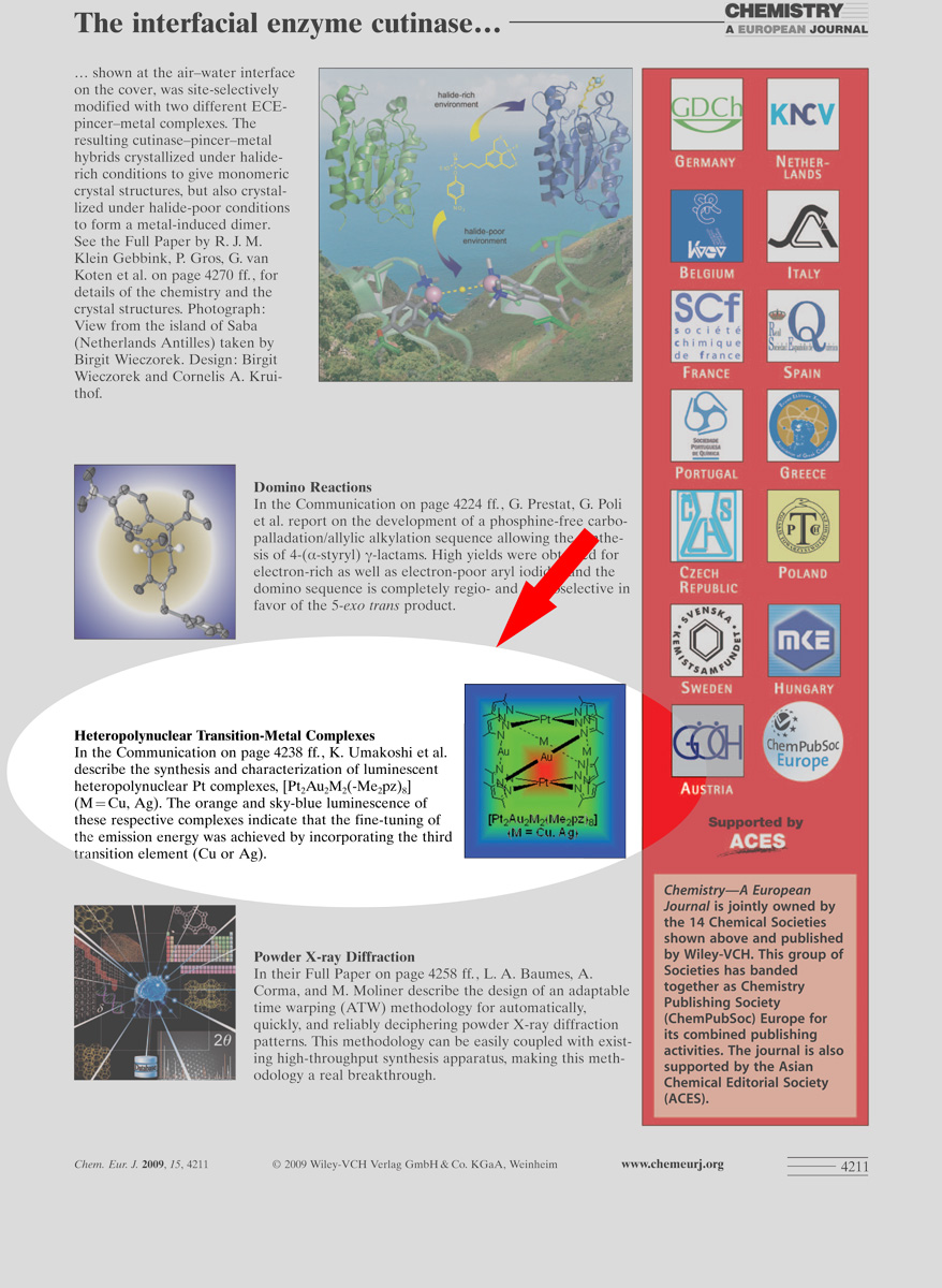 cover-picture_CEJ09_No.15.jpg(321,288 byte)